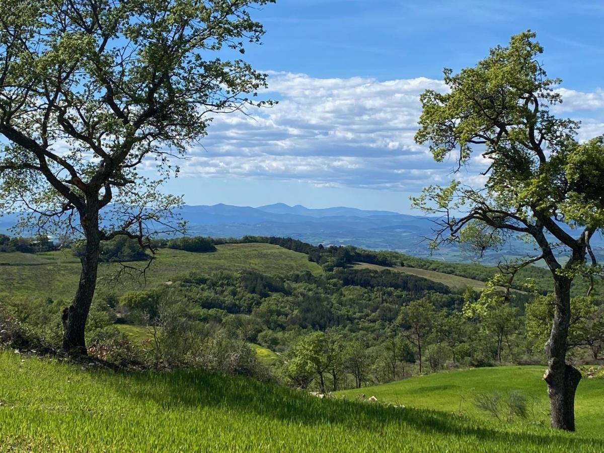 La Colombaia Amiata Bed & Breakfast Arcidosso Luaran gambar